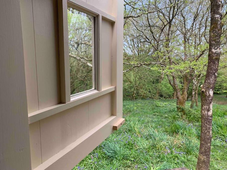 Cornwall Woodland Shepherd'S Hut - Dennis Hut 보드민 외부 사진