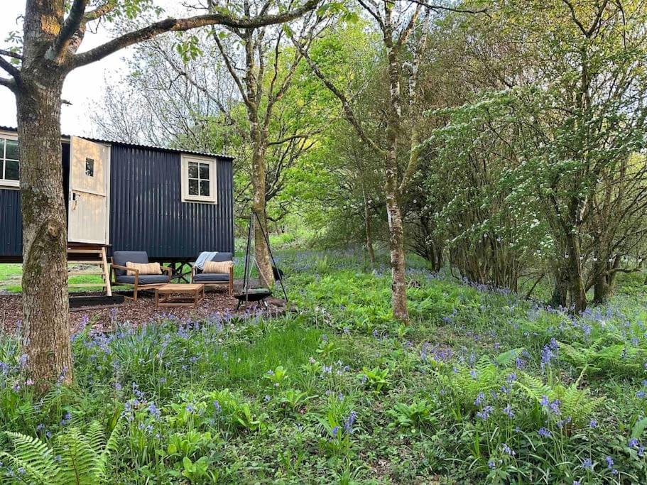 Cornwall Woodland Shepherd'S Hut - Dennis Hut 보드민 외부 사진